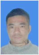 向冬冬