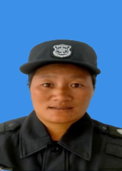 也补莫尔牛