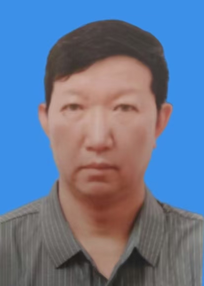 史卫琪