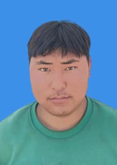 尼尼曲一
