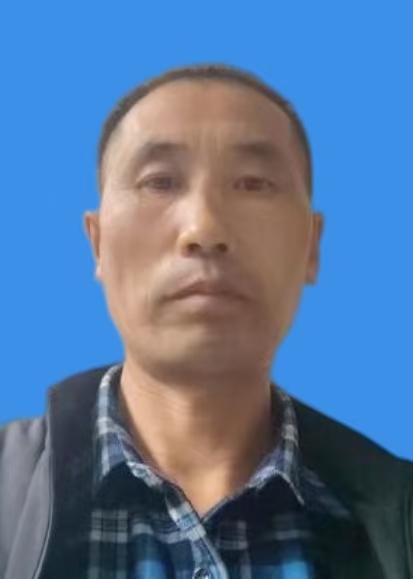 张树新