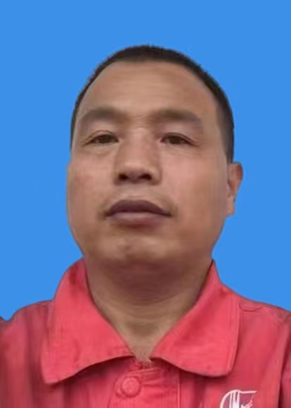 段延巧