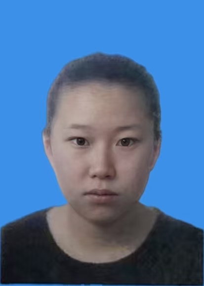 王莉淼