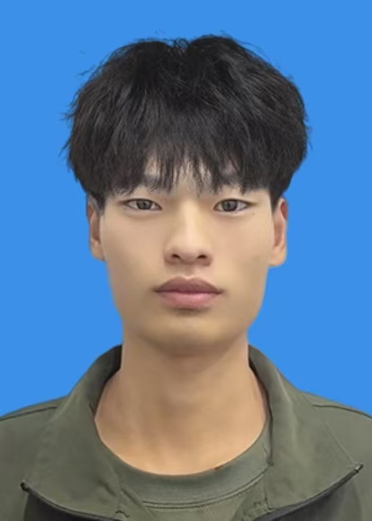 苗臣议