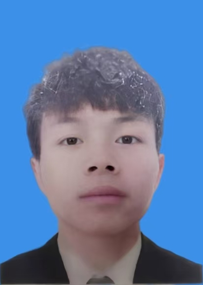 陈嘉