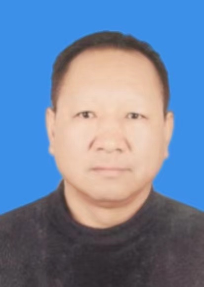 陈平平