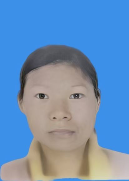 高娇