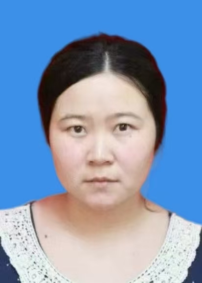 刘凤起