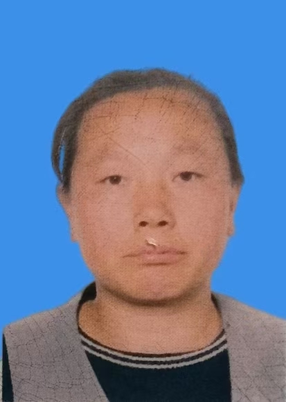 王志平
