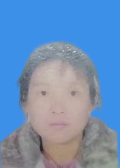 石冬梅