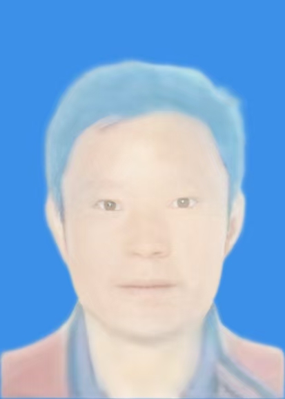 胡茂伍