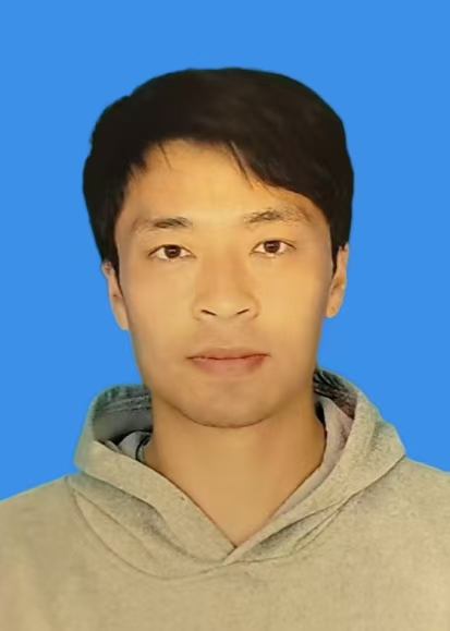 何述新