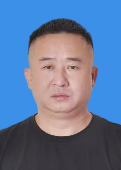 刘进