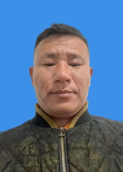 娄贺