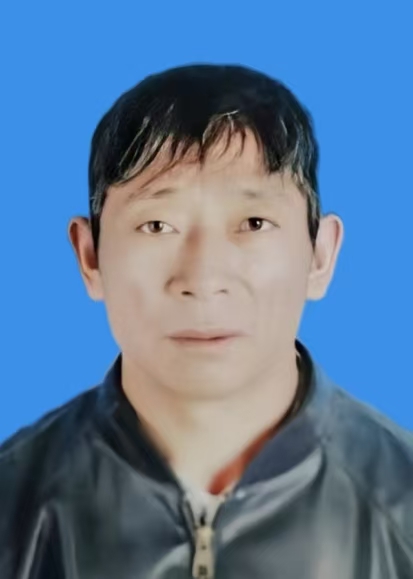 左保四