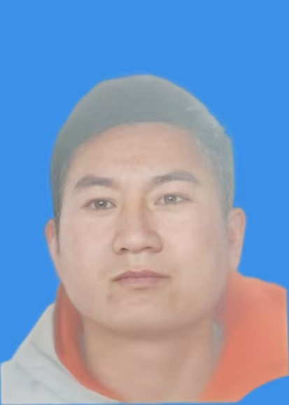 张露露