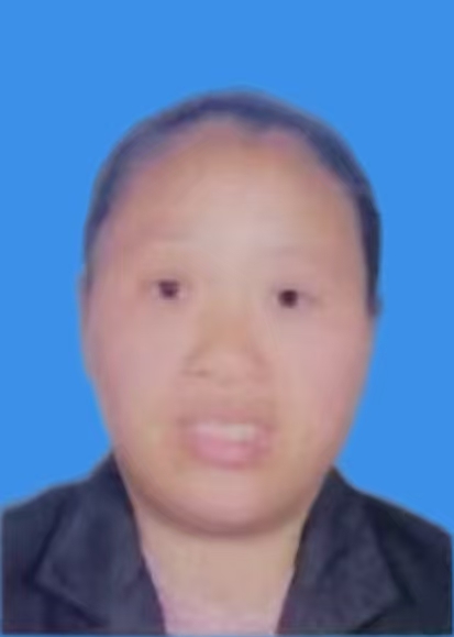 彭果平