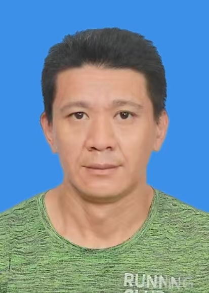 武卫平