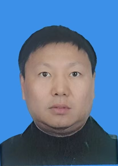 武维智