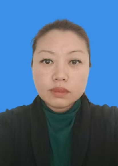 王会静