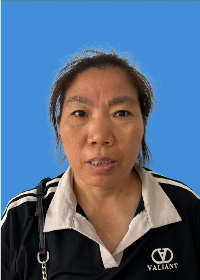 田小凤