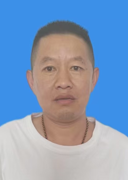 陈辉