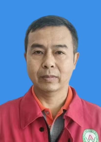 陶向东