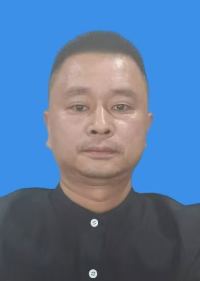 陶露