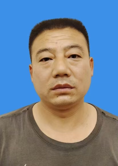 马飞