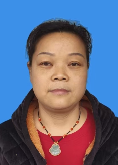 鲜冬梅